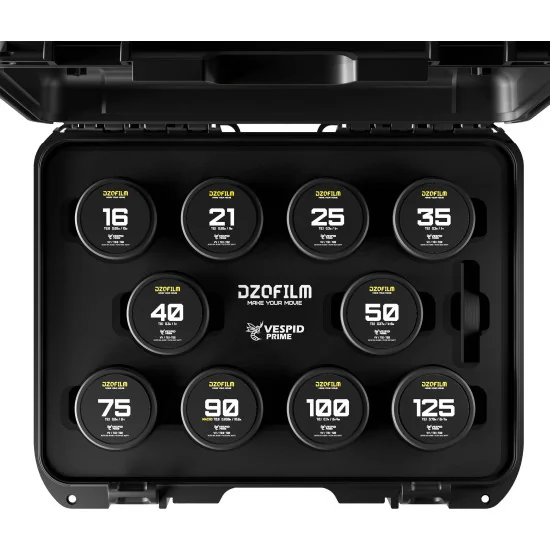 DZOFilm Vespid Prime 10-Lens Kit (16 T2.8 + 21/25/35/40/50/75/100/125 T2.1 + Macro 90) PL Mount
