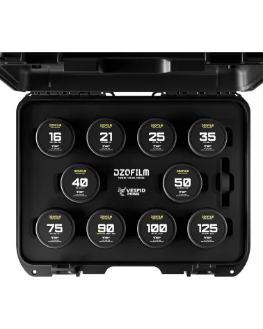 DZOFilm Vespid Prime 10-Lens Kit (16 T2.8 + 21/25/35/40/50/75/100/125 T2.1 + Macro 90) PL Mount