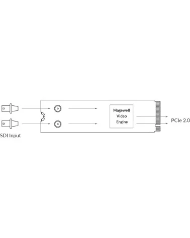 Magewell Eco Capture Dual SDI M.2 (11530) Video capture card
