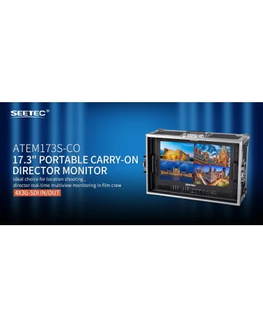 SEETEC ATEM173S-CO 17.3" Moniteur de studio