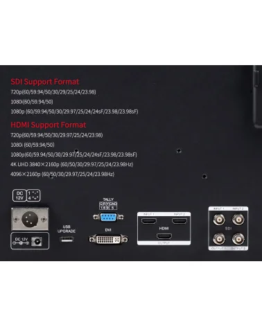 SEETEC P215 PRO-CO 21.5" Studio Monitor