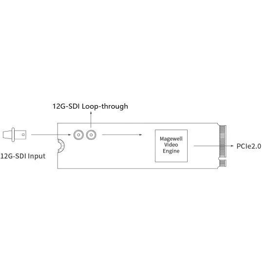 Magewell Eco Capture SDI 4K Plus M.2 (11560) | Carte d'acquisition vidéo PCIe Gen2 x4