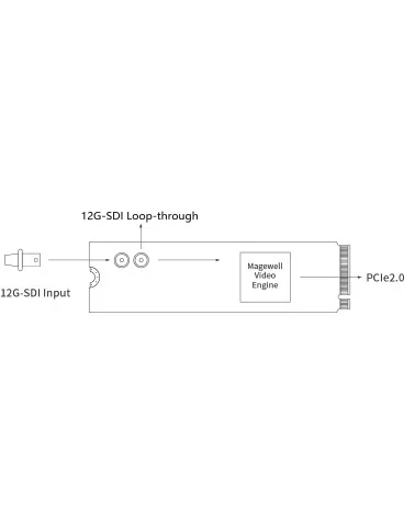 Magewell Eco Capture SDI 4K Plus M.2 (11560) | Carte d'acquisition vidéo PCIe Gen2 x4