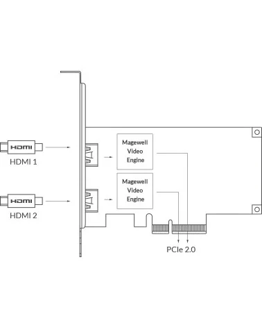 Magewell Pro Capture Dual HDMI (11080) Carte d'acquisition vidéo