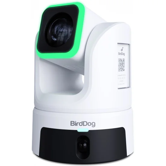 BirdDog XL Ultra White Caméra PTZ