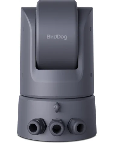 BirdDog O4 Grey Caméra PTZ Extérieure