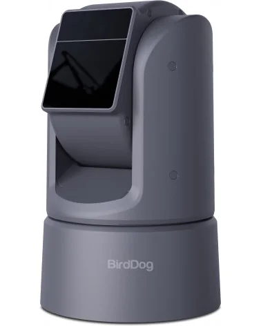 BirdDog O4 Grey Caméra PTZ Extérieure