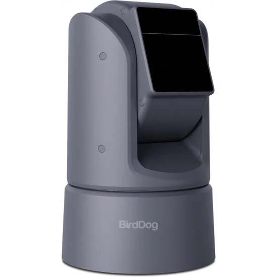 BirdDog O4 Grey Caméra PTZ Extérieure