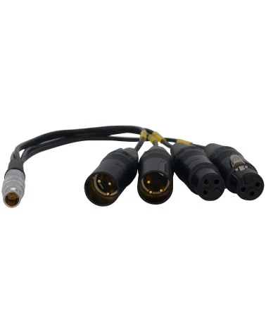 Bolin BLA-10 10-pin LEMO to XLR