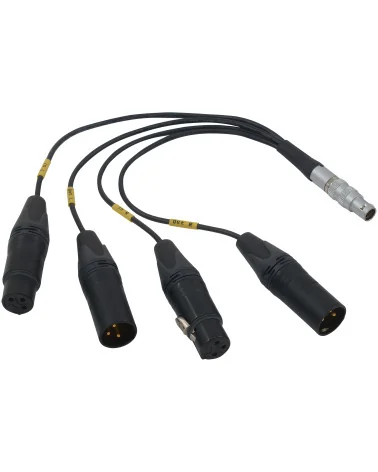 Bolin BLA-10 10-pin LEMO to XLR
