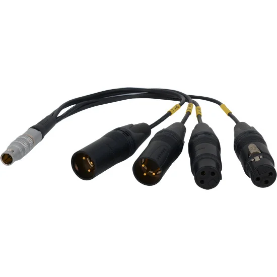 Bolin BLA-10 10-pin LEMO to XLR
