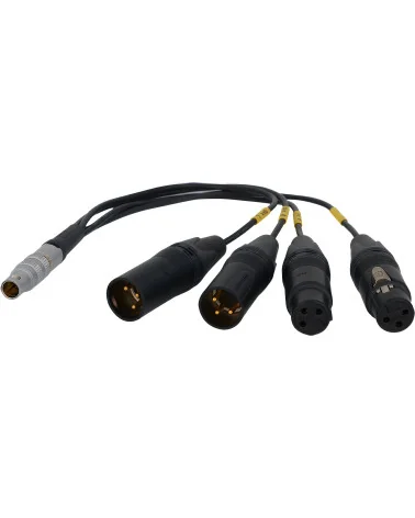 Bolin BLA-10 10-pin LEMO to XLR