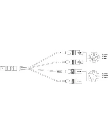 Bolin BLA-10 10-pin LEMO to XLR