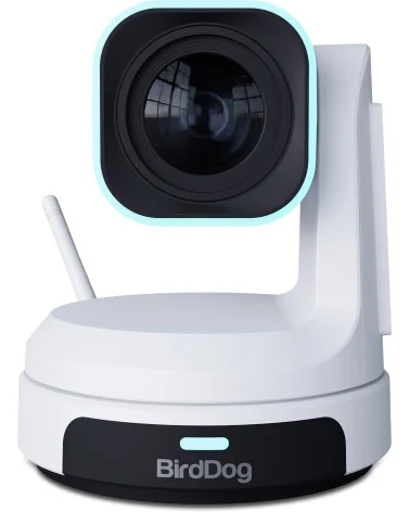 BirdDog X1 30x White Caméra PTZ