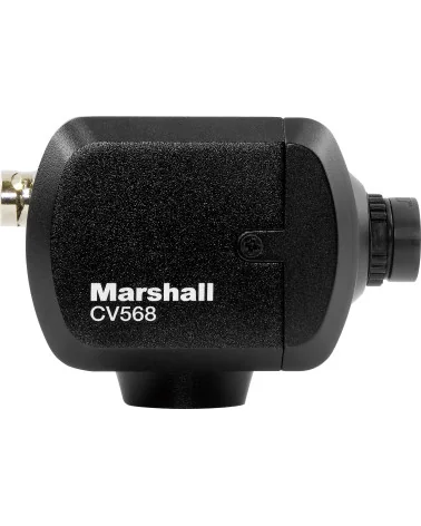 Marshall CV568 Mini Camera