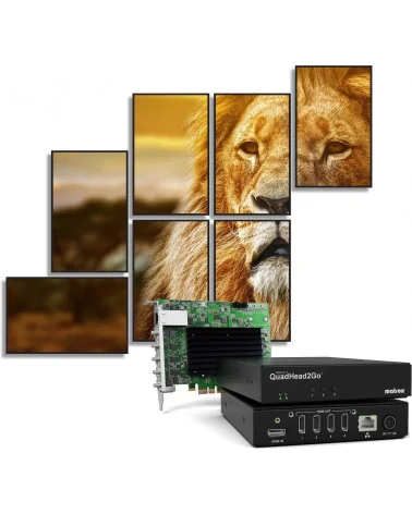 Matrox QuadHead2Go Q155 Contrôleur multi-écrans HDMI 4K