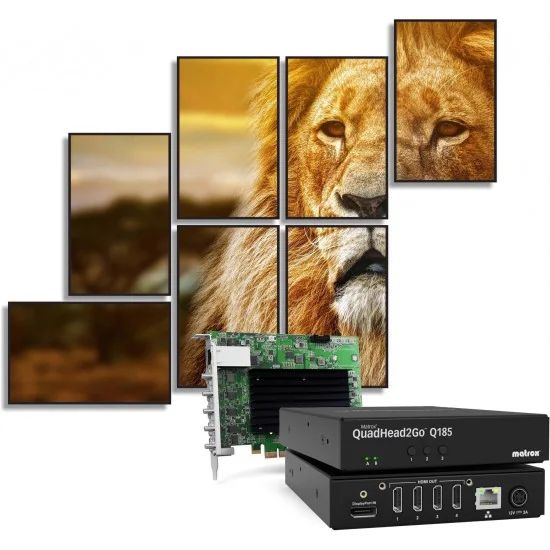 Matrox QuadHead2Go Q185 Contrôleur multi-écrans 4K DP / HDMI