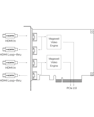 Magewell Pro Capture Dual HDMI 4K Plus LT (11260) Carte d'acquisition vidéo