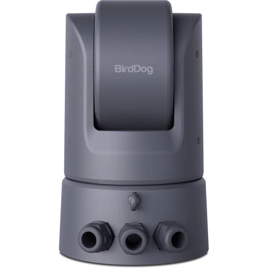 BirdDog O4 Grey Combo Caméra PTZ Extérieure