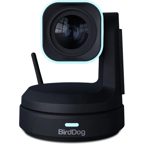 BirdDog X1 30x Black Bundle PTZ Cameras
