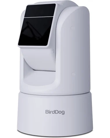 BirdDog O4 White Combo Caméras PTZ Extérieure
