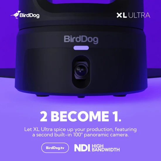 BirdDog XL Ultra White Combo PTZ Cameras