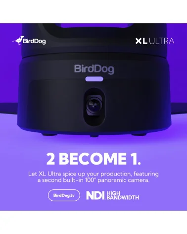 BirdDog XL Ultra White Combo Caméra PTZ