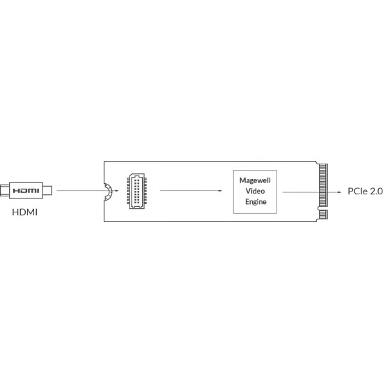 Magewell Eco Capture HDMI 4K M.2 (11520) Carte d'acquisition vidéo