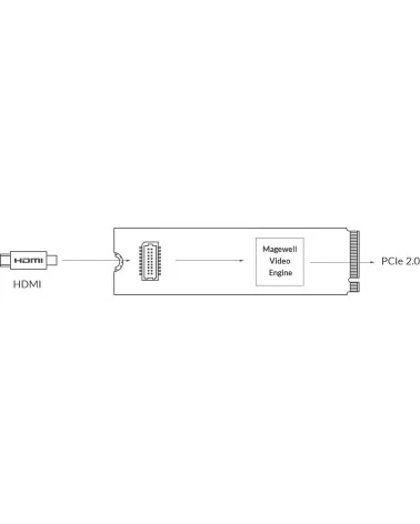 Magewell Eco Capture HDMI 4K M.2 (11520) Carte d'acquisition vidéo