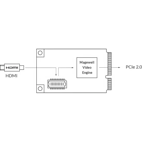 Magewell Pro Capture Mini HDMI (11110) Carte d'acquisition vidéo