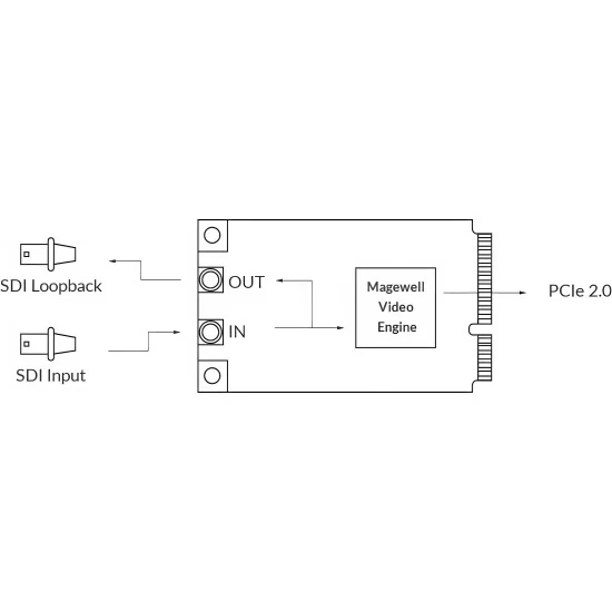 Magewell Pro Capture Mini SDI (11130) Carte d'acquisition vidéo