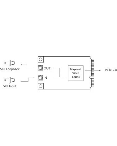 Magewell Pro Capture Mini SDI (11130) Carte d'acquisition vidéo