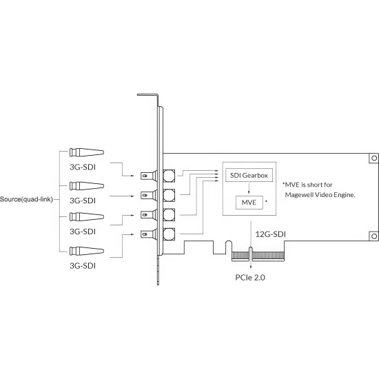 Magewell Pro Capture SDI 4K Plus (11180) Carte d'acquisition vidéo