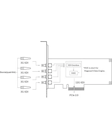 Magewell Pro Capture SDI 4K Plus (11180) Carte d'acquisition vidéo