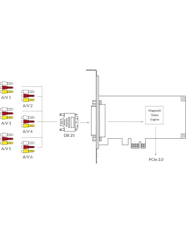 Magewell Pro Capture Hexa CVBS (11250) Carte d'acquisition vidéo