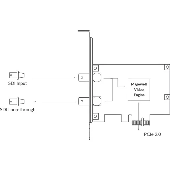 Magewell Pro Capture SDI (11050) Carte d'acquisition vidéo