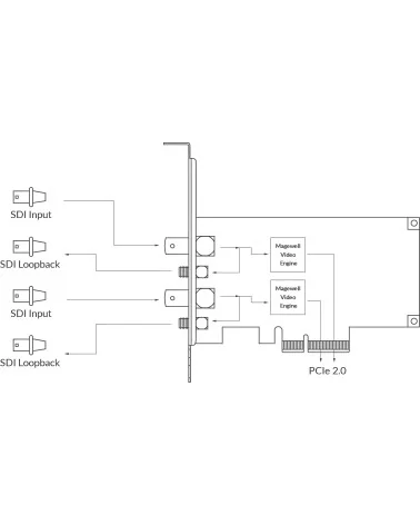 Magewell Pro Capture Dual SDI (11060) Carte d'acquisition vidéo