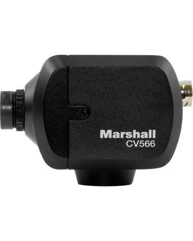 Marshall CV566 Mini Camera