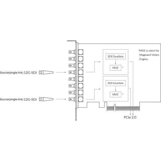Magewell Pro Capture Dual SDI 4K Plus (11270) Carte d'acquisition vidéo