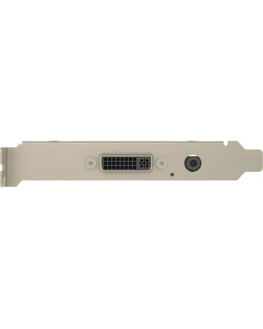 Magewell Pro Capture DVI (11030) Carte d'acquisition vidéo