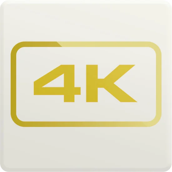 Epiphan Pearl Nano 4K feature add-on | Licence de résolution 4K pour mélangeur vidéo