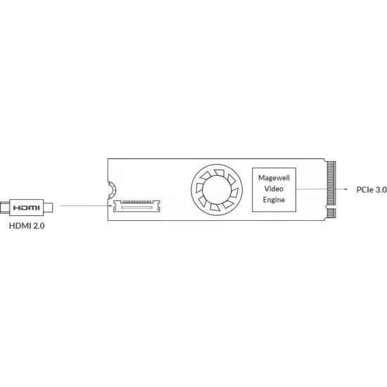 Magewell Eco Capture HDMI 4K Plus M.2 (11590) | Carte d'acquisition vidéo PCIe Gen3 x4