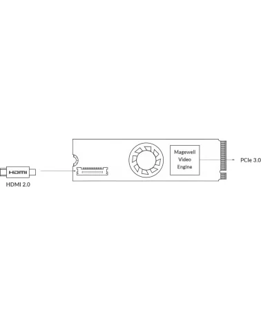 Magewell Eco Capture HDMI 4K Plus M.2 (11590) | Carte d'acquisition vidéo PCIe Gen3 x4