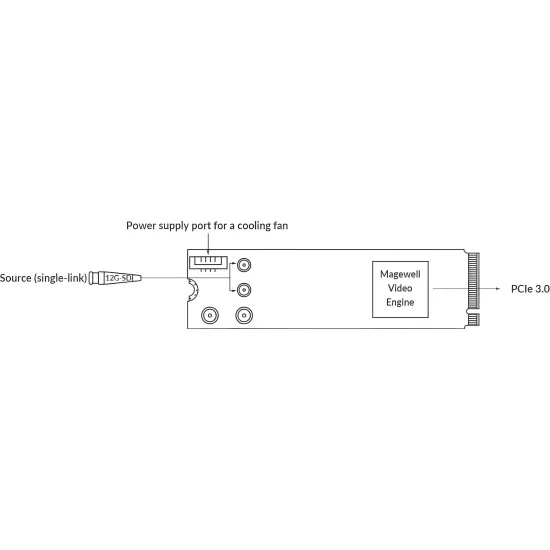 Magewell Eco Capture 12G SDI 4K Plus M.2 (11561) | Carte d'acquisition vidéo PCIe Gen3 x4