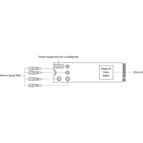 Magewell Eco Capture 12G SDI 4K Plus M.2 (11561) | Carte d'acquisition vidéo PCIe Gen3 x4