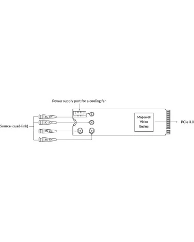 Magewell Eco Capture 12G SDI 4K Plus M.2 (11561) | Carte d'acquisition vidéo PCIe Gen3 x4