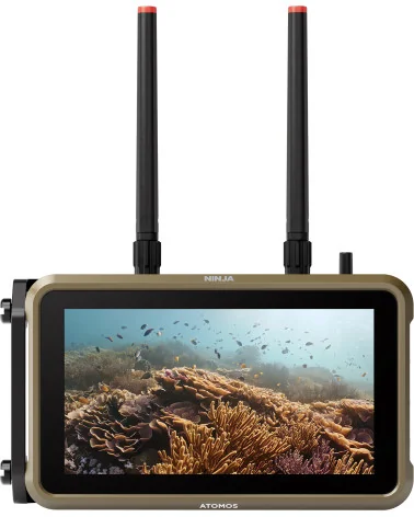 Atomos Ninja | 6K RAW Recorder, HDR Monitor 5.2" HDMI